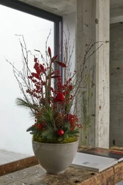 Schaal Royaal Hoog 27cm Steen -Huisdecoratie 81188635 5