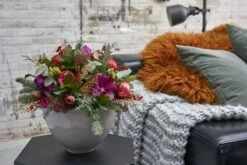 Schaal Royaal Hoog 23cm Steen -Huisdecoratie 81188636 3