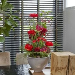 Schaal Royaal Hoog 23cm Steen -Huisdecoratie 81188636 6