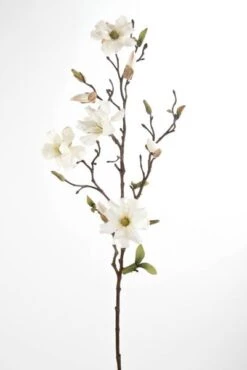 Emerald Tak Magnolia H.75cm Crème