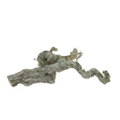 Druiventak 30-35cm White Wash