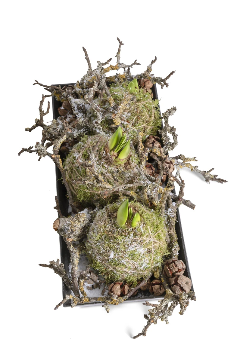 Bord Kunststof Rechthoek 28x12x2,5cm Naturel 2 Bord Kunststof Rechthoek 28x12x2,5cm Naturel - Afbeelding 2