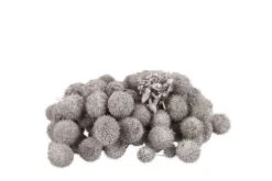 Plataanballetjes Champagne 250gr/bundel