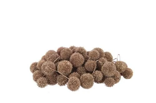 Plataanballetjes Koper 250gr/bundel 1 Plataanballetjes Koper 250gr/bundel