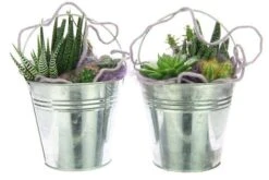 Emmer Zink D.13/H.12cm Naturel 80/ds -Huisdecoratie 81217833 2