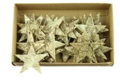 Ster Berk 6,5cm Goud Wash 36/ds