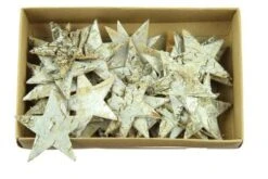 Ster Berk 6,5cm Zilver Wash 36st/ds