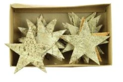 Ster Berk 9cm Goud Wash 15st/ds