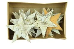 Ster Berk 9cm Zilver Wash 15st/ds