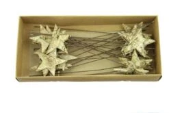 Ster Berk 6,5cm Op Draad Goud Wash 24st/ds