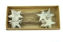 Ster Berk 6,5cm Op Draad White Wash 24st/ds