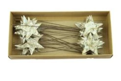 Ster Berk 6,5cm Op Draad Zilver Wash 24st/ds