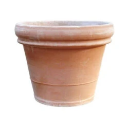 Doppio Bordo 35 Antiek