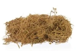 Curly Mos Naturel 500gr