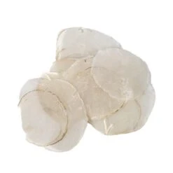 Schelp Capiz 1kg