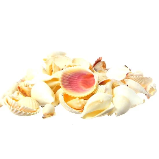 Schelp Mix Wit 1kg 1 Schelp Mix Wit 1kg