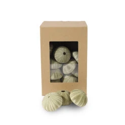 Denuded Urchin Green à 19 Stuks
