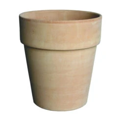 Doppio Bordo 56 Antiek