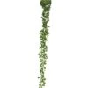 Hangplant Senecio 60cm Groen