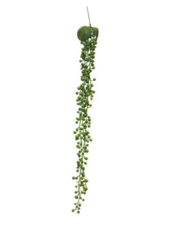 Hangplant Senecio 60cm Groen