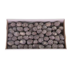 Muiri Op Draad 10cm White Wash 100st