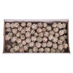 Pubescens Op Draad 10cm White Wash 100st