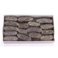 Mealy Pods Op Draad 10cm White Wash 35st