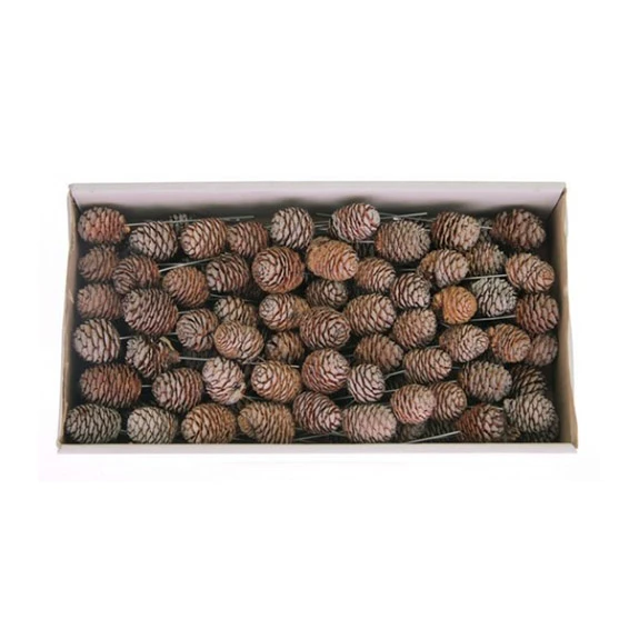 Muiri Op Draad 10cm Naturel 100st 1 Muiri Op Draad 10cm Naturel 100st