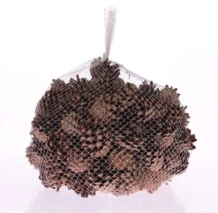 Silvester Cone Naturel 1kg