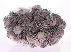 Silvester Cone White Wash 1kg