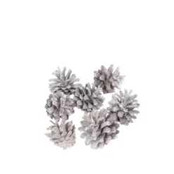 Silvester Cone White Wash 5kg