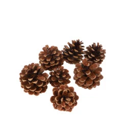 Oostenrijkers Naturel 5kg