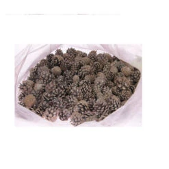 Austrai Cone White Wash 5kg