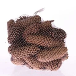 Dennenappel Spar 1kg