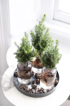 Bord Rond Kunststof 22x22x2cm Naturel Grijs -Huisdecoratie 81247192 3