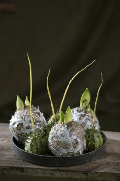 Bord Rond Kunststof 22x22x2cm Naturel Grijs -Huisdecoratie 81247192 4