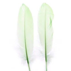 Veren 18-20cm Groen 50st