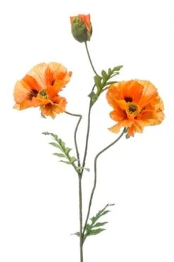 Emerald Tak Poppy X3 90cm Oranje