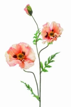 Emerald Tak Poppy X3 90cm Perzik