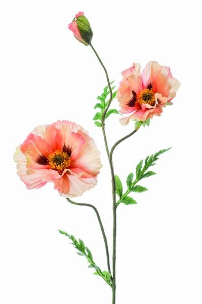 Emerald Tak Poppy X3 90cm Perzik 1 Emerald Tak Poppy X3 90cm Perzik