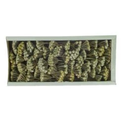 Brunia Wit Wash 35st