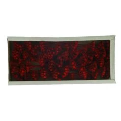 Brunia Rood Frosted 35st