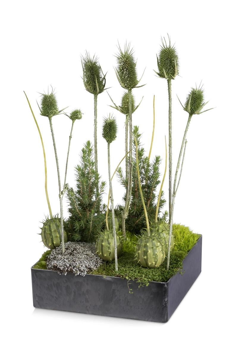 Tray Vierkant H.7/D.25cm Naturel 2 Tray Vierkant H.7/D.25cm Naturel - Afbeelding 2