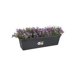Elho Balkonbak Green Basics 50cm Living-black -Huisdecoratie 81259966 2