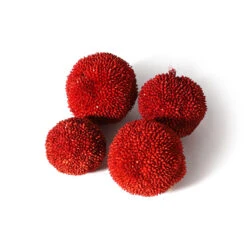 Plataan Ballen 500gr Rood