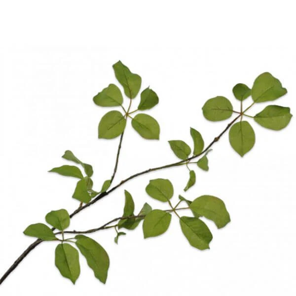 Bladtak Groen 91cm 1 Bladtak Groen 91cm