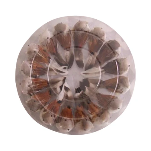 Vogeltje 9cm Naturel Carousel 16st In Windowbox 1 Vogeltje 9cm Naturel Carousel 16st In Windowbox