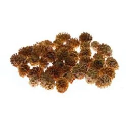 Salignum Cream Vrucht à 1kg