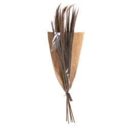 Bezem Gras 100cm Naturel 120gr 36/ds