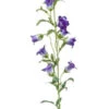 Emerald Campanula Spray 88cm Paars
